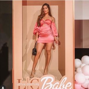 Runway the label pink dress